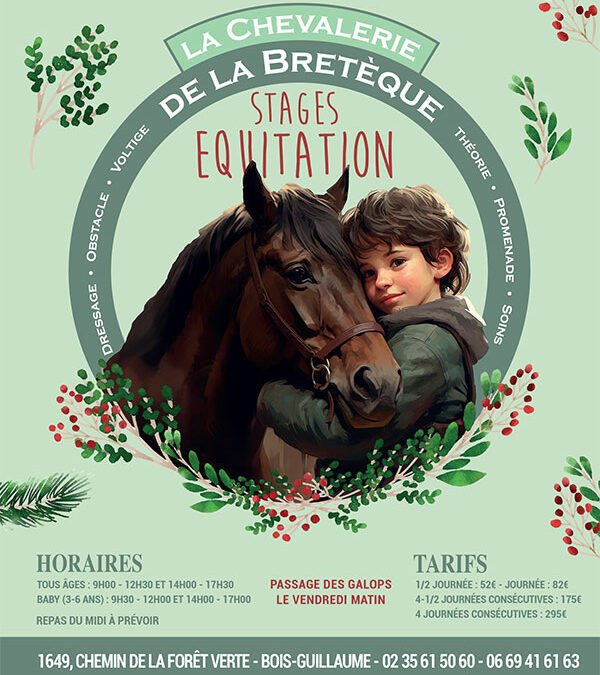 Stage d’équitation – Vacances de Noël 2024